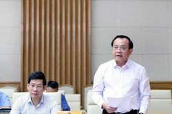Điều hành giá 4 tháng cuối năm 2026: Cân nhắc thời điểm điều chỉnh giá điện và dịch vụ công