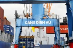 Cảng Đình Vũ (DVP) chuẩn bị chi 120 tỷ đồng trả cổ tức đợt cuối năm 2025