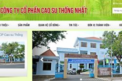 Cao su Thống Nhất (TNC) dự chi 38,5 tỷ đồng để trả cổ tức năm 2025