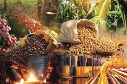 Quy định mới về hoạt động của Sở giao dịch hàng hóa