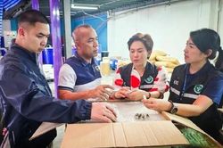 Góc khuất 'thuốc sinh lý nam':  Bài cuối: Mặt hàng bị thu giữ nhiều nhất thế giới