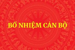 Thủ tướng bổ nhiệm 3 Thứ trưởng và 2 Phó Tổng Thanh tra Chính phủ