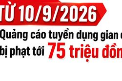 Từ 10/9, quảng cáo tuyển dụng gian dối có thể bị phạt tới 75 triệu đồng