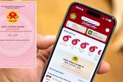 Quy định về cấp mã định danh với mỗi thửa đất