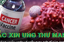 Vắc xin mRNA Nga kích hoạt miễn dịch tiêu diệt tế bào ung thư