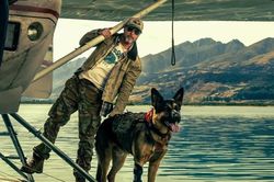 Chú chó cứu hộ chiếm luôn hào quang của Brad Pitt trên màn ảnh Hollywood