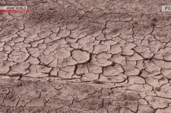 Tổ chức Khí tượng Thế giới dự báo ra sao về hiện tượng El Nino?