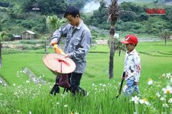 Theo nhịp bước đi tìm con chữ:Kỳ 1 - Khi mầm chữ trổ bông trên nương đá Bản Tèn