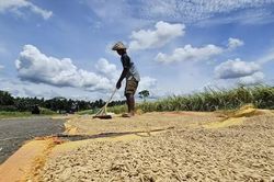 Hiện tượng El Nino mạnh lên nhanh chóng