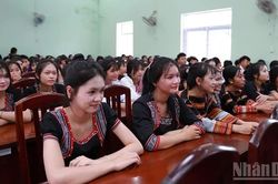 Hơn 734.000 học sinh Gia Lai háo hức bước vào năm học mới 2026-2027