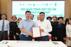 Tổng kết dự án bảo tồn quần thể di sản chè Shan tuyết cổ thụ Tây Côn Lĩnh