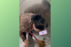 ChatGPT bất ngờ thành 'con rể' để né màn giục cưới