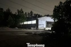 Kết quả test nhanh mẫu nước tiểu đàn heo hơn 2.000 con ở Đồng Nai