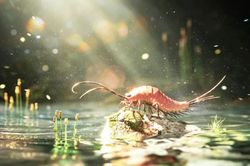 Phát hiện đột phá về hóa thạch loài côn trùng cổ nhất thế giới