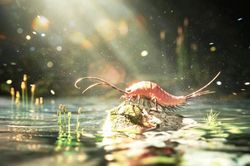 Phát hiện đột phá về hóa thạch loài côn trùng cổ nhất thế giới