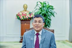 Tiếp tục đưa quan hệ Việt Nam với Hàn Quốc, Mông Cổ phát triển ngày càng thực chất, hiệu quả