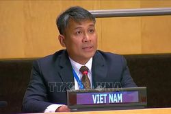 Tiếp tục đưa quan hệ Việt Nam với Hàn Quốc, Mông Cổ phát triển ngày càng thực chất, hiệu quả