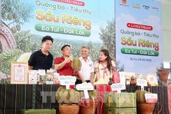 Đưa sầu riêng lên sóng trực tiếp: Tư duy mới trong tiêu thụ nông sản