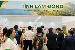 Lâm Đồng: 11 doanh nghiệp tham gia Viet Nam International Sourcing Expo 2026