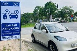 Lãi gần 63 tỷ sau nửa năm, cổ phiếu TMT vẫn chưa thể thoát cảnh báo vì còn lỗ lũy kế 144 tỷ