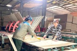 Nguồn lực của doanh nghiệp bị bào mòn, khả năng gánh rủi ro dài ngày bị hạn chế