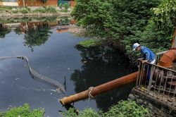 Giải pháp phục hồi nguồn nước suy thoái, ô nhiễm các sông Nhuệ- Đáy, Bắc Hưng Hải