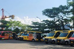 Hỗ trợ lãi suất đầu tư xe buýt