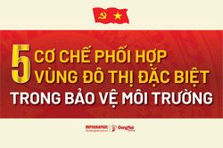 [Infographic] Luật Phát triển đô thị: 5 cơ chế phối hợp vùng đô thị đặc biệt trong bảo vệ môi trường