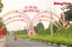 Tân Hòa: Không gian mới - khát vọng mới