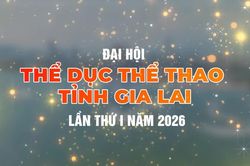Đại hội Thể dục thể thao tỉnh Gia Lai lần thứ I diễn ra từ ngày 1 đến 15-9-2026