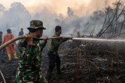Cháy rừng gây khói mù nguy hiểm khắp Đông Nam Á: Indonesia rải 8.000 kg muối để khống chế đám cháy
