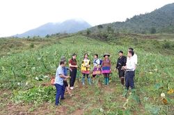 Để “vùng khó” không còn khó trong phát triển đảng viên