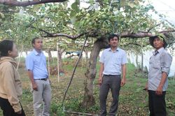 'Đòn bẩy' phát triển kinh tế nông hộ