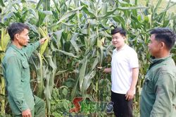 Dân vận khéo nâng cao đời sống nhân dân