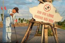 15 năm tự nguyện quét đường