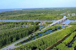 Cà Mau tăng trưởng xanh từ tài nguyên rừng