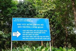 Nâng cao hiệu quả hoạt động Quỹ Môi trường Đồng Nai: Bài toán quỹ đất và trồng rừng thay thế: Thách thức trên hành trình xanh hóa Đồng Nai
