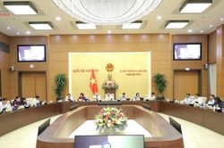 Theo dõi sát việc ban hành nghị định, thông tư của các cơ quan Chính phủ