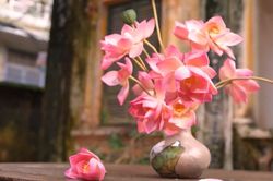 Những mùa hoa trong chiếc bánh trung thu