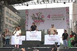 Thử tài tách gai xương rồng ở Mexico