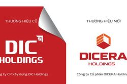 Dicera Holdings (DC4) chốt quyền phát hành gần 2 triệu cổ phiếu ESOP, lãnh đạo đua nhau gom cổ phiếu