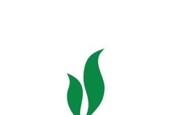 Chứng khoán Dầu khí (PSI) tất toán lô trái phiếu 50 tỷ đồng, chuẩn bị thay ghế Chủ tịch HĐQT