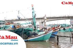 Chủ động đảm bảo an toàn cho từng chuyến tàu ra khơi