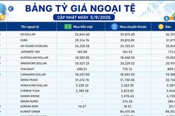 Tỷ giá ngoại tệ ngày 5/9: USD, EUR, GBP đồng loạt duy trì mặt bằng giá cao