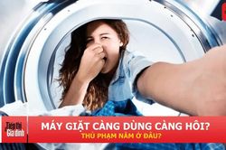 Máy giặt bốc mùi ẩm mốc? 4 bước đơn giản giúp xử lý ngay tại nhà