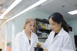 Hà Nội gắn đào tạo tiến sĩ với giải quyết bài toán lớn của thành phố