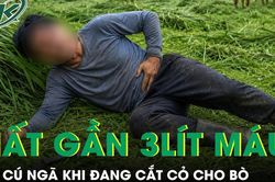 Đang cắt cỏ cho bò, người đàn ông ngã một cú mất gần 3 lít máu