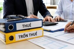 Trốn thuế có thể bị phạt gấp 3 lần số tiền thuế trốn