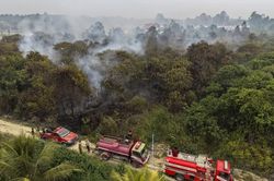 Indonesia nỗ lực dập lửa, ngăn cháy rừng uy hiếp Thủ đô mới Nusantara