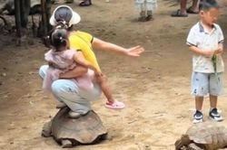 Du khách thành tội đồ vì giẫm lên lưng rùa ở Trung Quốc